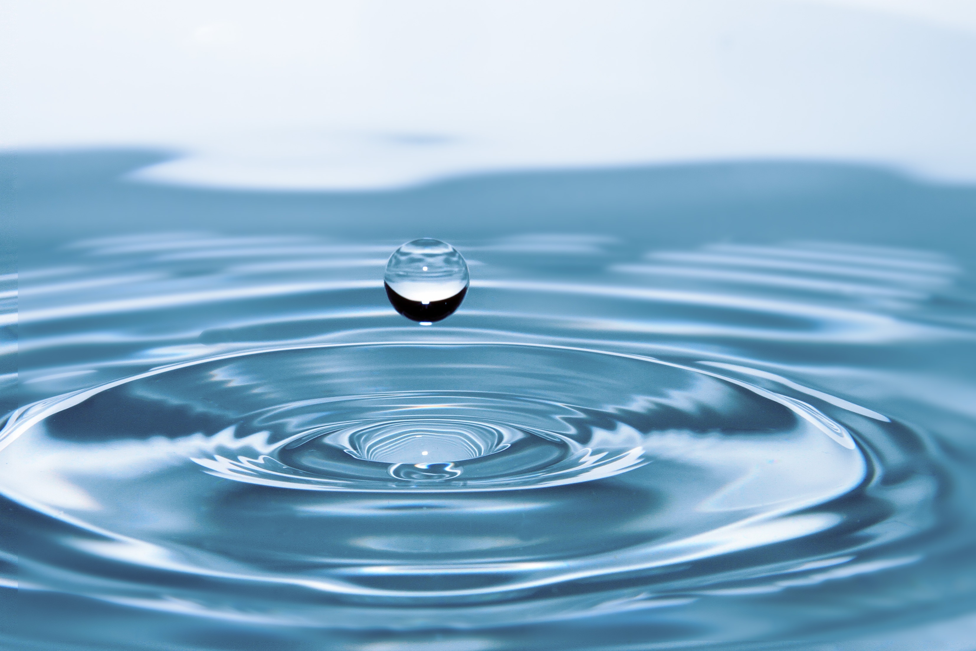 Economisons l'eau de la nappe du Champigny