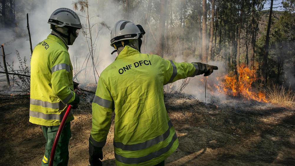 Vigilance feux de forêt