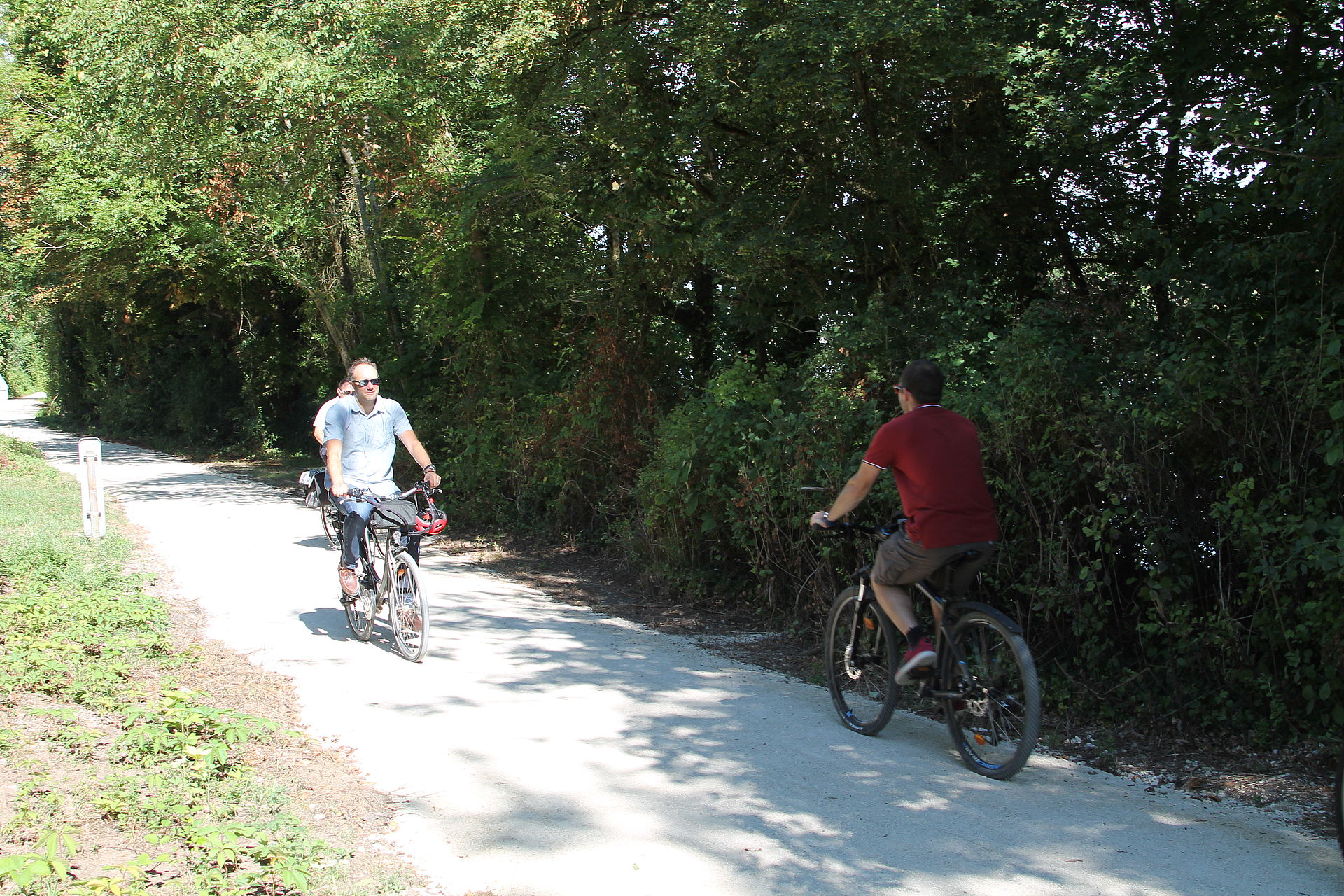 Une piste cyclable sur le chemin de halage, à Saint-Fargeau-Ponthierry