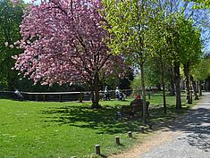 Parc du Château Soubiran à Dammarie-les-Lys - Agrandir l'image (fenêtre modale)