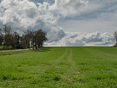 Champeaux - Agrandir l'image (fenêtre modale)