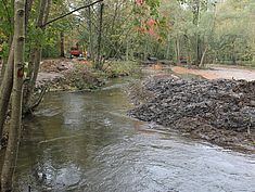 Travaux de restauration à Pringy - Agrandir l'image (fenêtre modale)