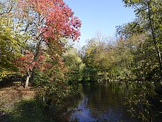 Parc, Pringy - Agrandir l'image (fenêtre modale)