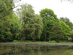 Parc Debreuil, Melun - Agrandir l'image (fenêtre modale)