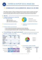 Synthèse du rapport social unique 2020