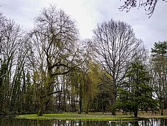 Parc Debreuil, Melun - Agrandir l'image (fenêtre modale)