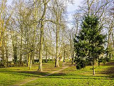 Parc Farcy, Dammarie-lès-Lys - Agrandir l'image (fenêtre modale)