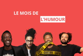 CAMVS - Agrandir l'image