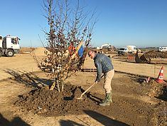 Plantation du premier arbre de la ZAC du Tertre de Montereau - Agrandir l'image (fenêtre modale)