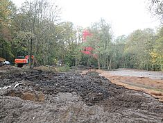 Travaux de restauration à Pringy - Agrandir l'image (fenêtre modale)