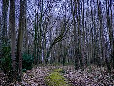 Parc Saint-Exupéry, Rubelles - Agrandir l'image (fenêtre modale)