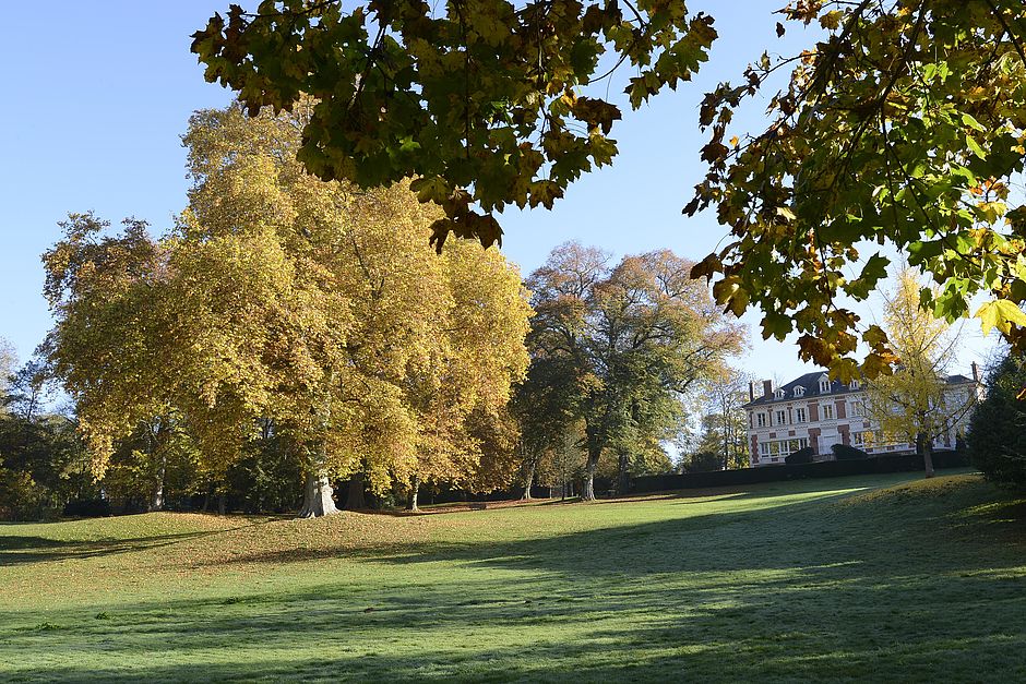 Parc, Pringy - Agrandir l'image (fenêtre modale)