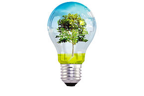 light bulb with tree inside - Agrandir l'image