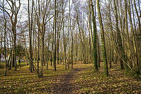 Parc des Bordes, Saint-Fargeau-Ponthierry