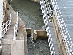 Inauguration de la Passerelle des Vives Eaux - Agrandir l'image (fenêtre modale)