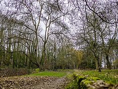 Parc Debreuil, Melun - Agrandir l'image (fenêtre modale)