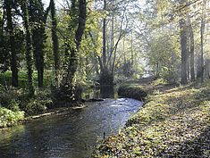 Parc, Pringy - Agrandir l'image (fenêtre modale)