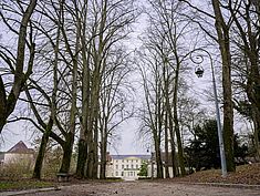 Parc de la Mairie, Boissise-le-Roi - Agrandir l'image (fenêtre modale)