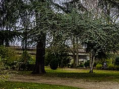 Jardin botanique, Melun - Agrandir l'image (fenêtre modale)