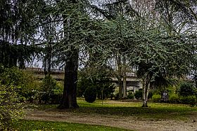 Jardin botanique, Melun