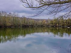 Parc, Livry-sur-Seine - Agrandir l'image (fenêtre modale)