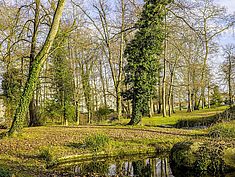 Parc Farcy, Dammarie-lès-Lys - Agrandir l'image (fenêtre modale)