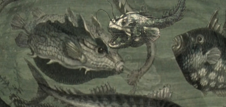 De la Terre à la Lune (série de voyages extraordinaires de Jules Verne), François Darmeliac, Jean Darmeliac. Musique : Michel Musseau. Virtuel production/Musée de Jules Verne de Nante/Universciences