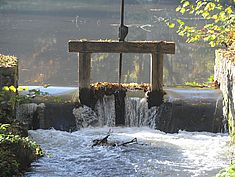 Parc, Pringy - Agrandir l'image (fenêtre modale)