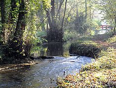 Parc, Pringy - Agrandir l'image (fenêtre modale)